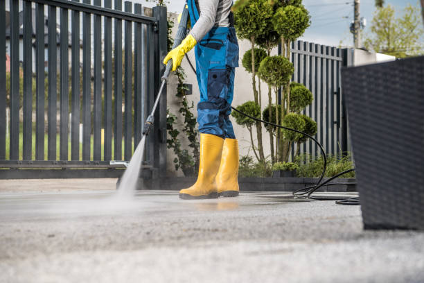 Best Garage Pressure Washing  in Roma, TX